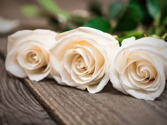 Similar image 10899259