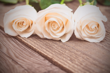 Similar image 10899463