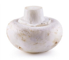 Similar image 10899331