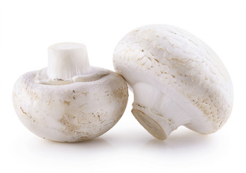 Similar image 10899332