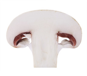 Similar image 10899337