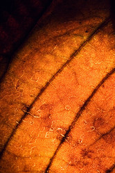 Similar image 10899600