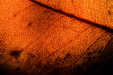 Similar image 10899661