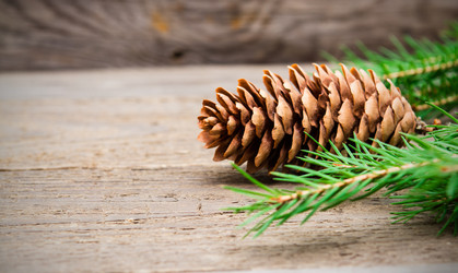 Similar image 10899226