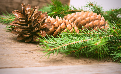 Similar image 10899279