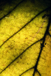 Similar image 10899581