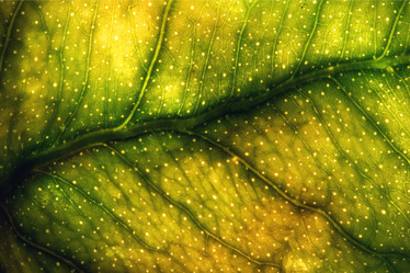 Similar image 10899590