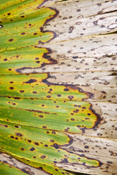 Similar image 10899592