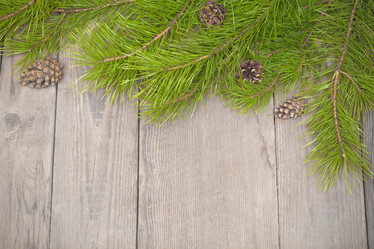 Similar image 10899284