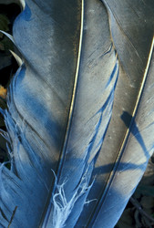 Similar image 10899577