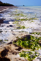 Similar image 10904494