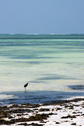 Similar image 10904498