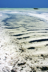 Similar image 10904322