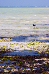 Similar image 10904323