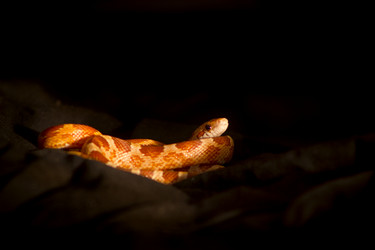 Similar image 10900075