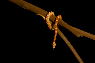 Similar image 10900076