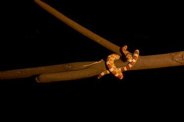 Similar image 10900077