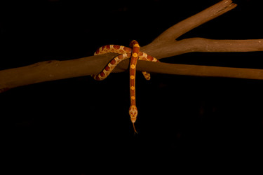 Similar image 10900078