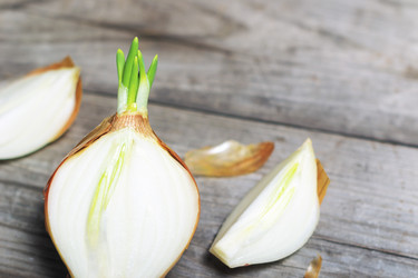 Similar image 10900151