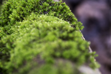 Similar image 10904105