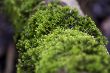 Similar image 10904117