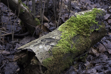 Similar image 10904119