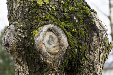 Similar image 10904120