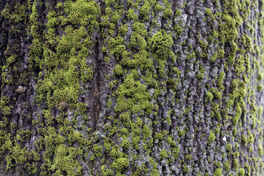 Similar image 10904121