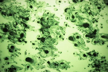 Similar image 10904122