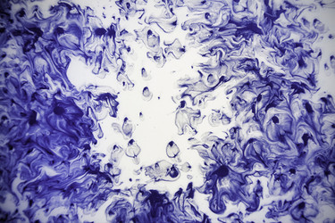 Similar image 10904124