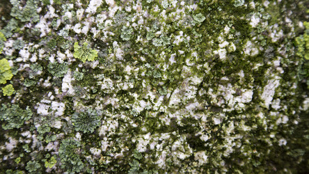 Similar image 10904125