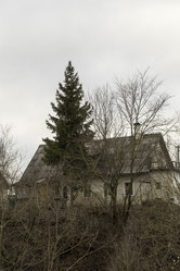 Similar image 10906325