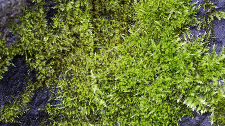 Similar image 10904126