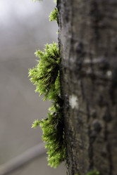 Similar image 10904110