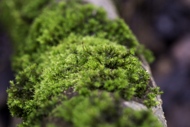 Similar image 10904111