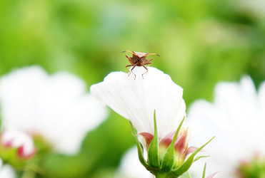 Similar image 10900363