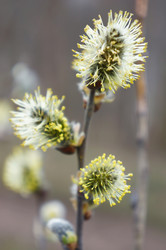 Similar image 10900212