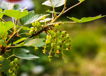 Similar image 10908388