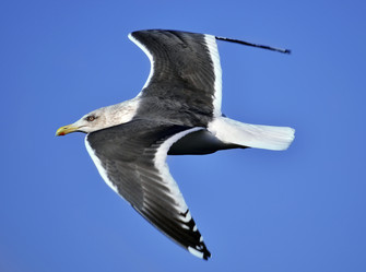 Similar image 10900429