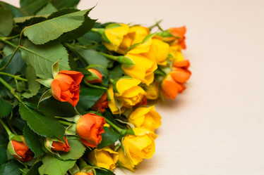 Similar image 10900593