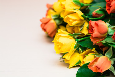 Similar image 10900595