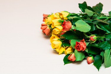 Similar image 10900649