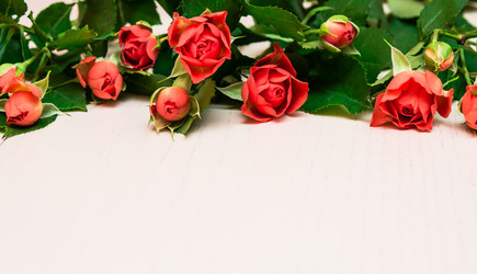 Similar image 10900653