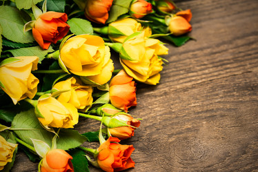 Similar image 10900607