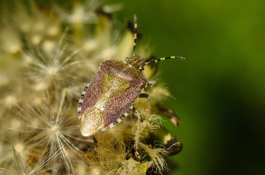 Similar image 10901824