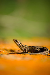 Similar image 10901825