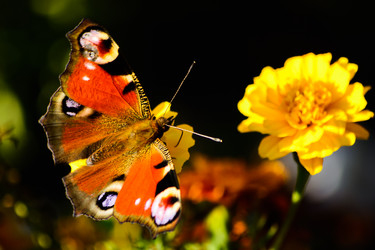 Similar image 10901827