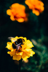 Similar image 10901828