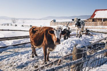 Similar image 10906802