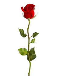 Similar image 10908112